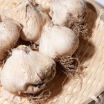 にんにくの収穫時期は？旬と収穫するタイミングがわかる方法を解説！