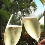 全国の生姜料理専門店を地域別にご紹介！生姜好きの方必見です