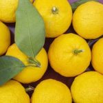 柚子胡椒の代用に使える食材や調味料はなに？用途別に紹介！