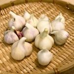 にんにくの代用食材５選！代用品でも美味しく作れるレシピを紹介！