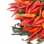 タバスコにはこんなに種類が！辛さレベルや特徴について一挙大公開！