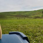 各国のマヨネーズ事情と海外でおいしいマヨネーズを食べる方法を紹介