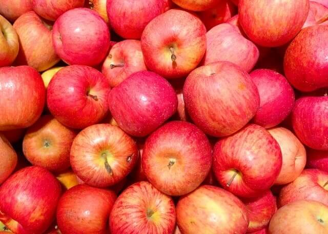 リンゴ酢はオーガニックがおすすめ！国産から世界の人気商品まで！