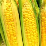 果糖ブドウ糖液糖の入っていない飲み物ってどんなものがあるの？