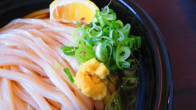 うどんにポン酢をかけるだけ さっぱり美味しいおすすめレシピを紹介