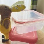 味噌を保存するならストッカーがおすすめ！種類や選び方はどうする？