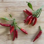 鷹の爪と唐辛子の違いって？プランターでの育て方や乾燥方法をご紹介