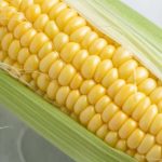 コーングリッツに危険性はあるの？選ぶ際に注意したいポイントを解説