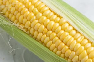 コーングリッツに危険性はあるの？選ぶ際に注意したいポイントを解説