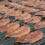 自家製みりん干しの作り方！簡単レシピ＆作る際のコツを教えます♪