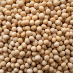 実は身近な「大豆油」！味は？特徴は？サラダ油との違いも詳しく解説